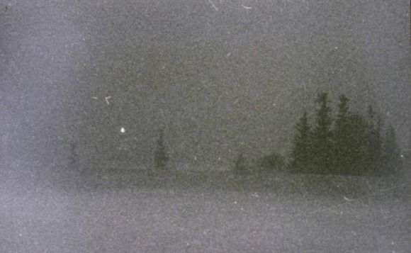 Click to see next picture
