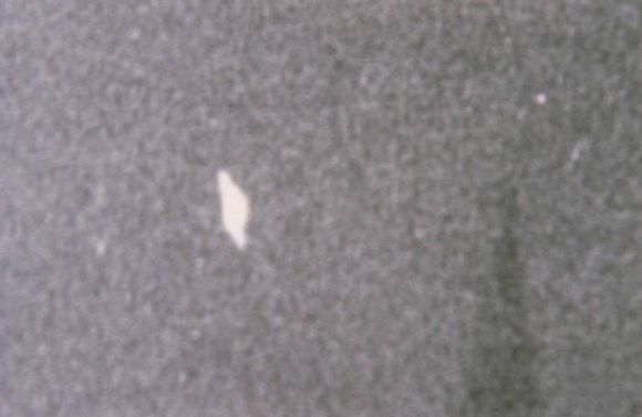 Click to see next picture