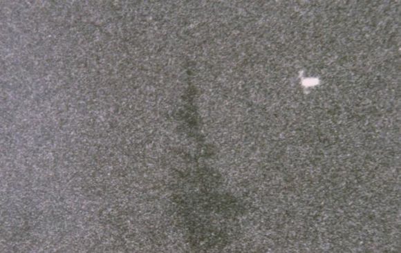 Click to see next picture
