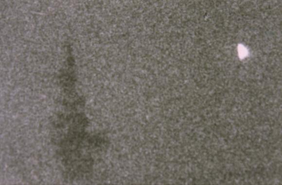 Click to see next picture
